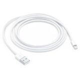 Apple USB-C to Lightning Cable (1 m)