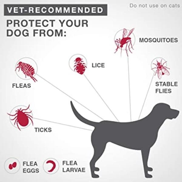K9 Advantix II Flea and Tick Treatment for Medium Dogs weighing 4.6 kg to 11 kg - Image 7